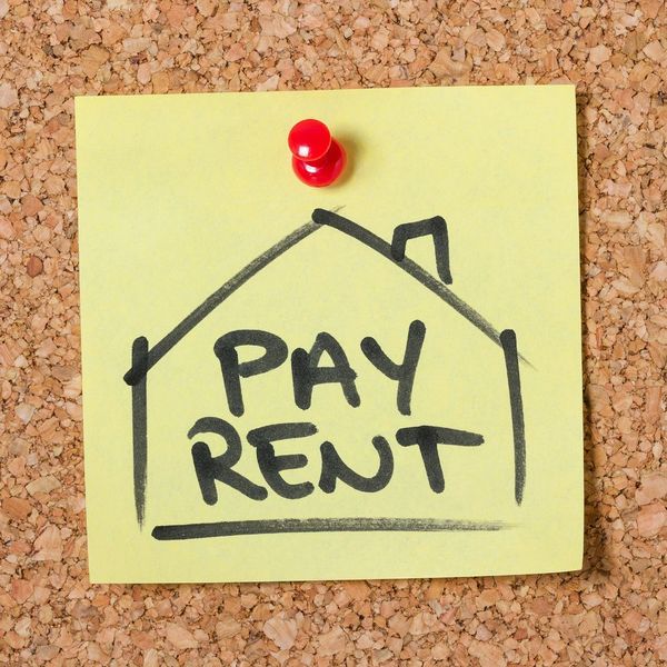 How Property Management Can Help You Maximize Your Rental Shannon Property Management